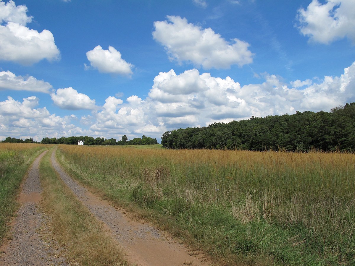 Ghost On The Hill: Manassas NMP / Brawner's Farm