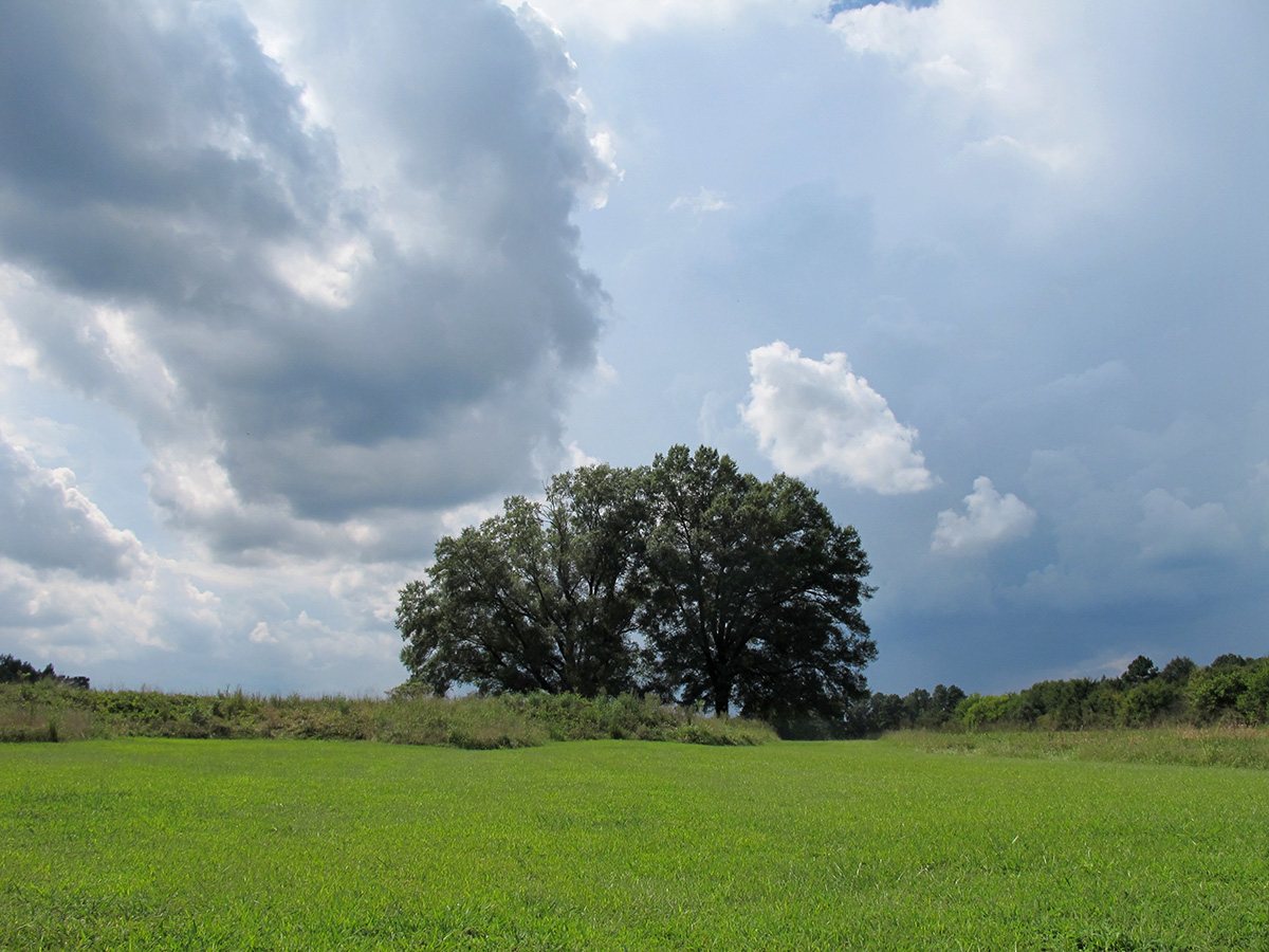 Ghost On The Hill: Petersburg NB / Fort Gregg